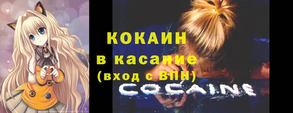 крисы Верея