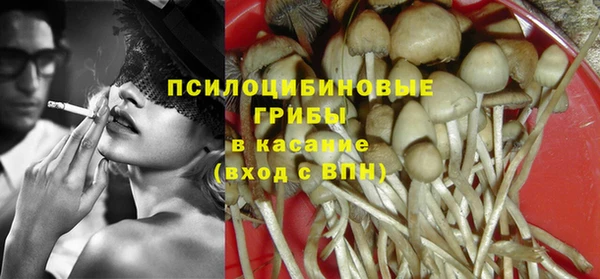 крисы Верея